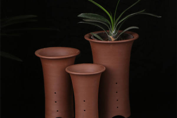 What kind of flowers are suitable for tall flowerpots?