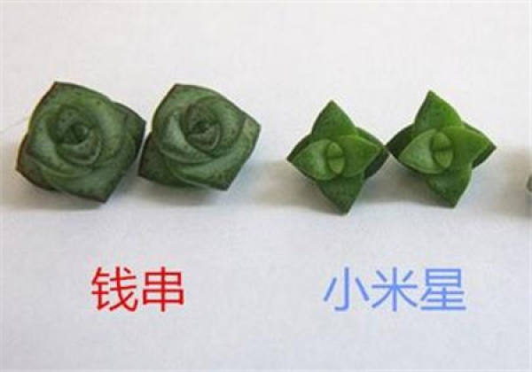 Qian Chuan