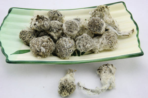 The Efficacy and Function of Snow Lotus