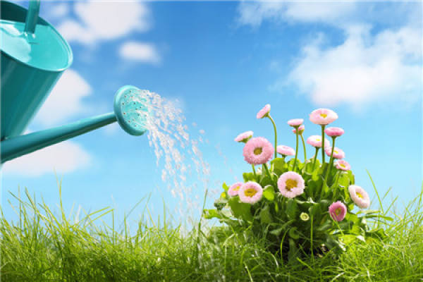 No need to look at all the language, love flowers is the most people who cherish flowers.