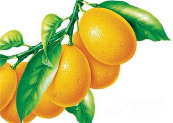 Functions and Placement of Six Common Feng Shui Plants: Chrysanthemum Functions and Placement of Six Common Feng Shui Plants: Chrysanthemum