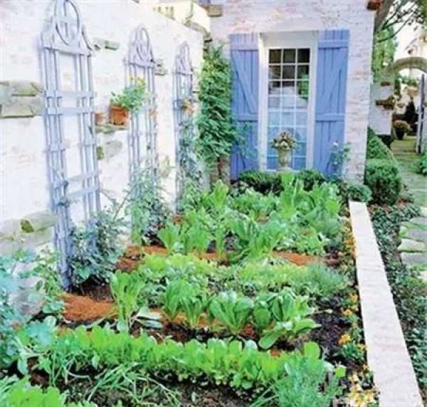 Useful side garden