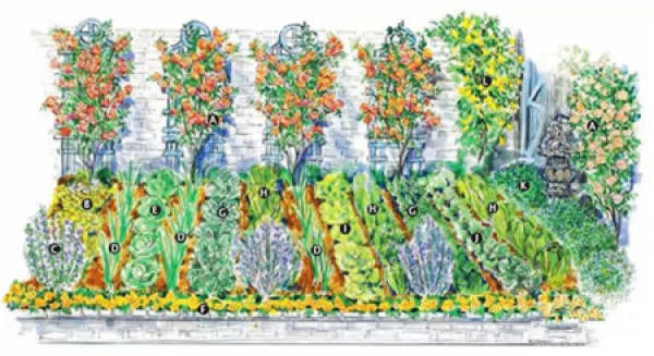 Useful side garden