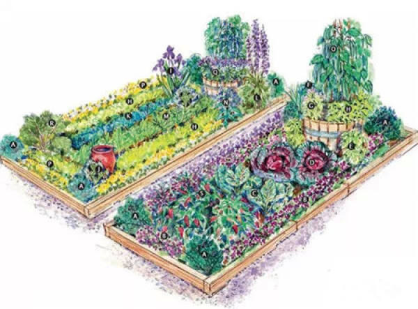 Useful side garden