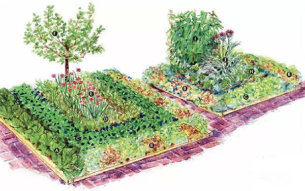 Useful side garden