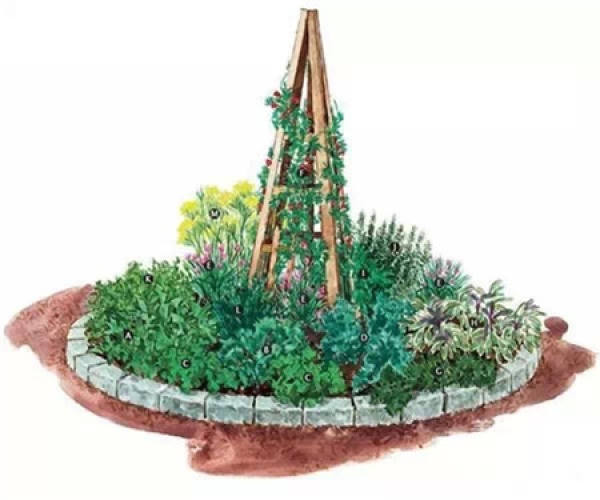 practical side garden