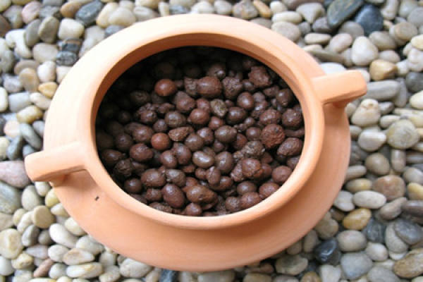 Soilless culture