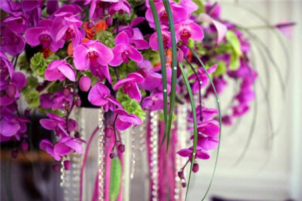 Which flowers are suitable for weddings: Roses