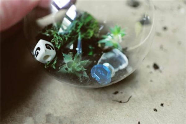Making glass ball potted landscape of succulent plant