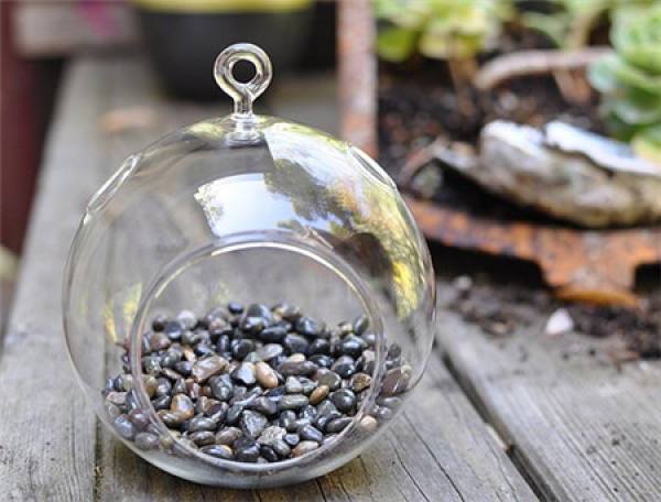 Making glass ball potted landscape of succulent plant