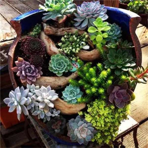 Broken pot into flowerpot