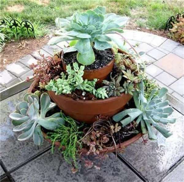 Broken pot into flowerpot
