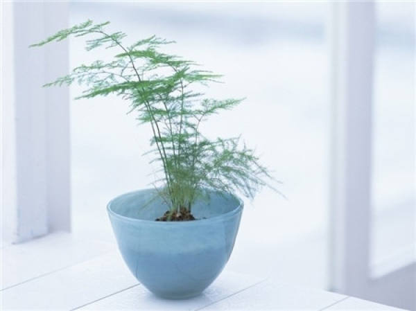 Wonderful use of sawdust