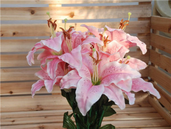 Lily Flower