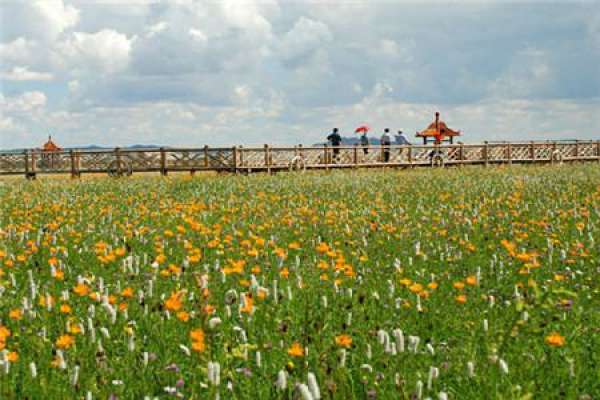 Flower Festival