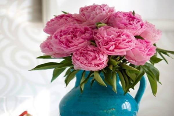 Decorative Environment