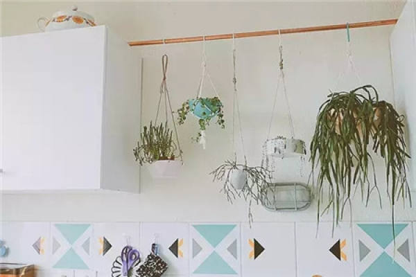 Green plants on both sides of the home