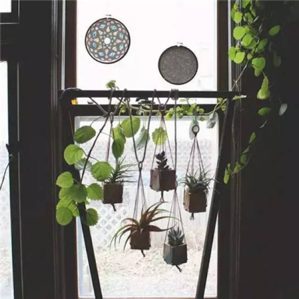 Green plants on both sides of the home