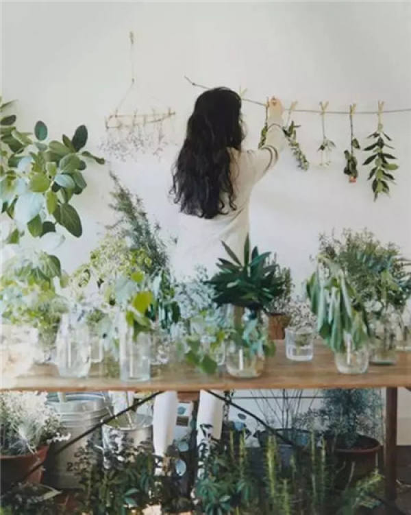 Green plants on both sides of the home