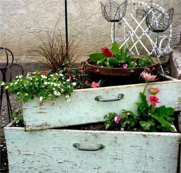 Green plants on both sides of the home