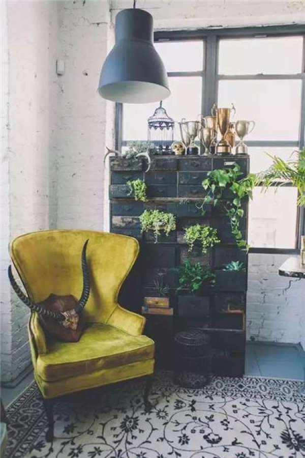 Green Planting Decoration Home