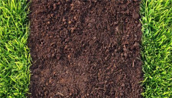 Look at the earth color.