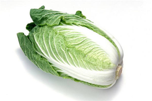 Chinese cabbage