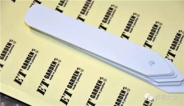 Paper label finished product