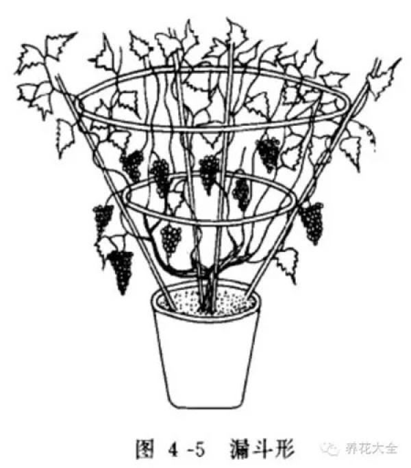 Funnel-shaped