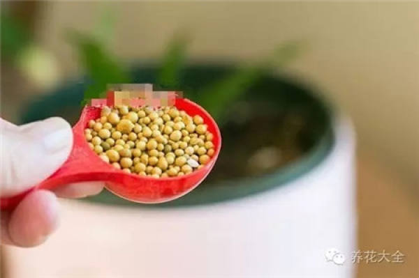Fertilization
