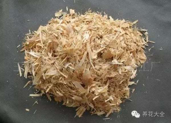 Advantages of growing flowers with sawdust-light, water-absorbing and breathable