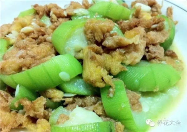 Towel gourd