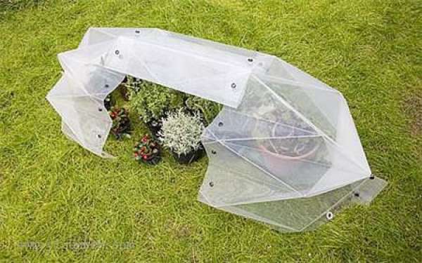 The following points should be paid attention to in the maintenance of flowers in small greenhouse