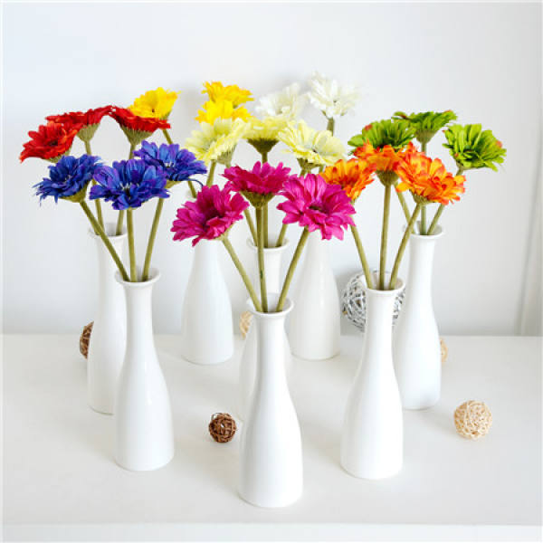 Gerbera pictures