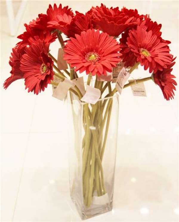 Pruning the flower branches before the flower arrangement of the Gerbera