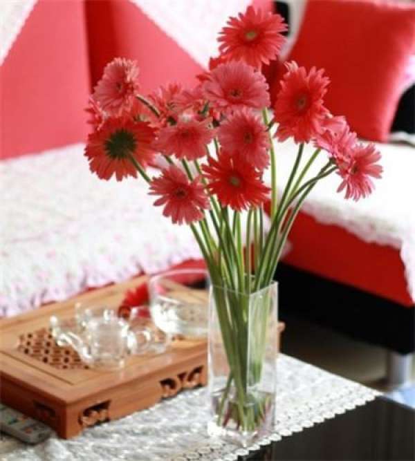 pruning of Gerbera before flower arrangement