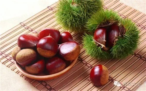 Tamarindus indica L.