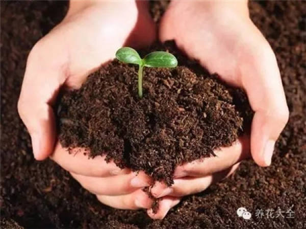 Live well: Choose good soil