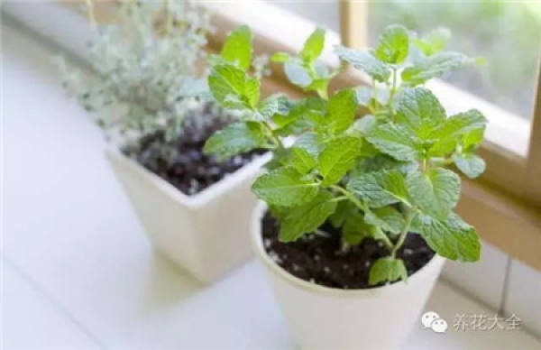 Live well: Choose good soil