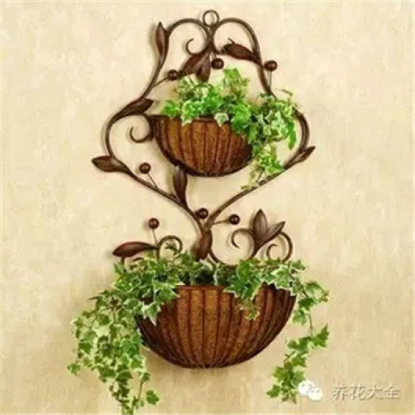 Orchid Pot Selection