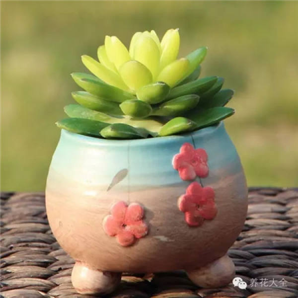 Flowerpots