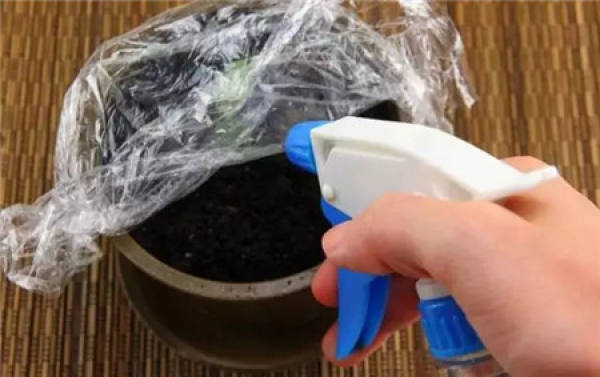 Water Spray