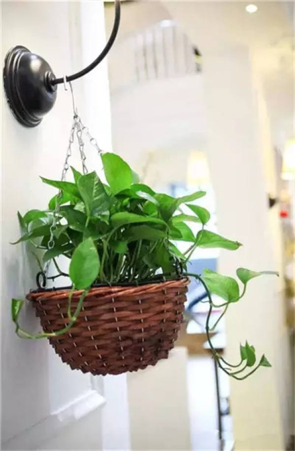 Maintain indoor ventilation