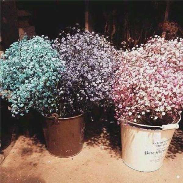 Turn over the pots and change the soil