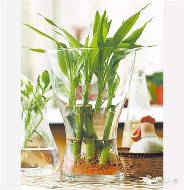 Selective Plant