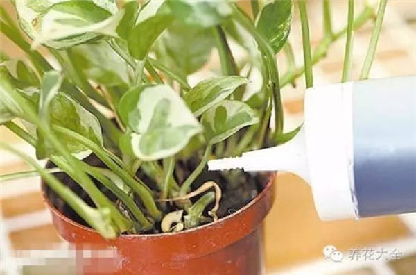 Selective Plant