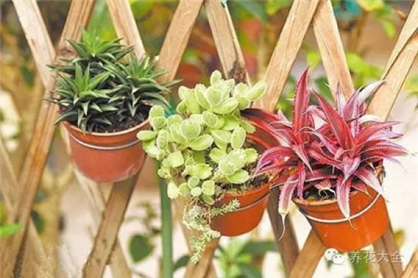 Selective Plant