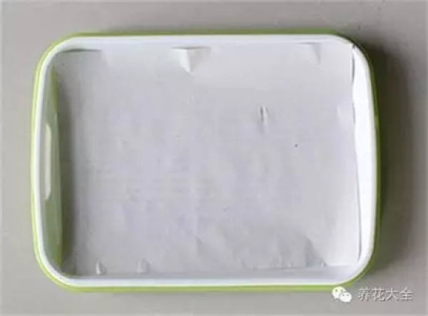 Two sheets of white paper