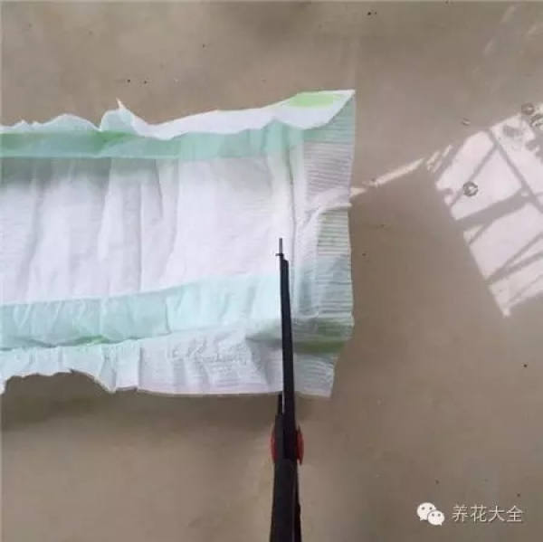 two sheets of white paper