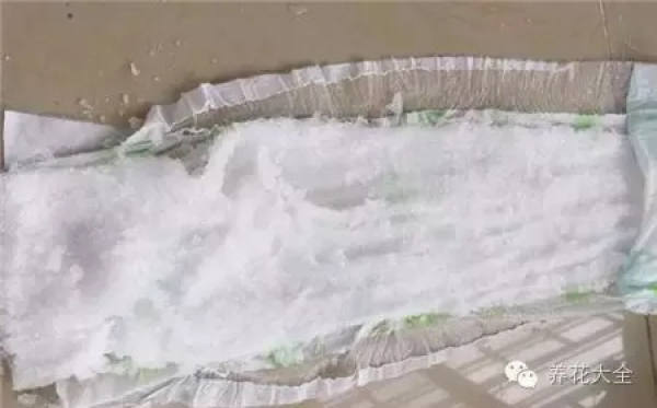 two sheets of white paper